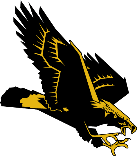 Southern Miss Golden Eagles 1990-2002 Secondary Logo iron on heat transfer